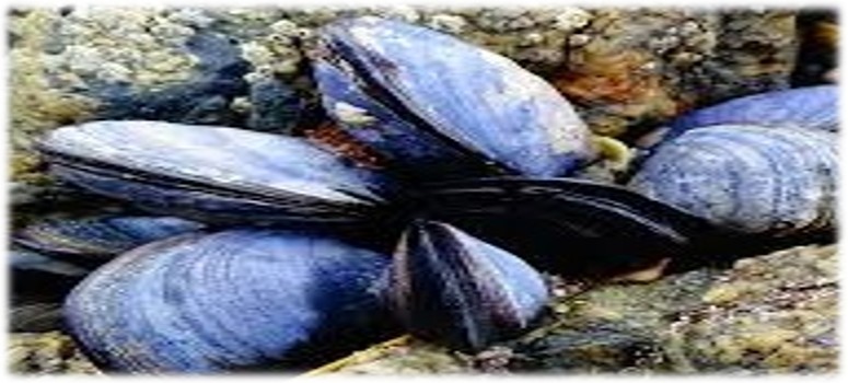 3ème domaine d'activité du Centre de Développement et de Transfert Analytique : Les biotes<br />
