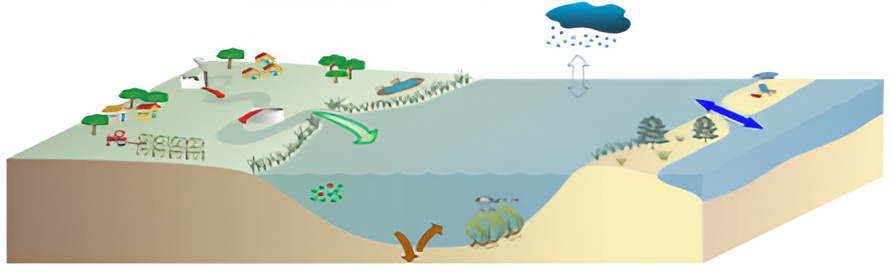 Schéma de l'évaluation de la contamination en pesticides