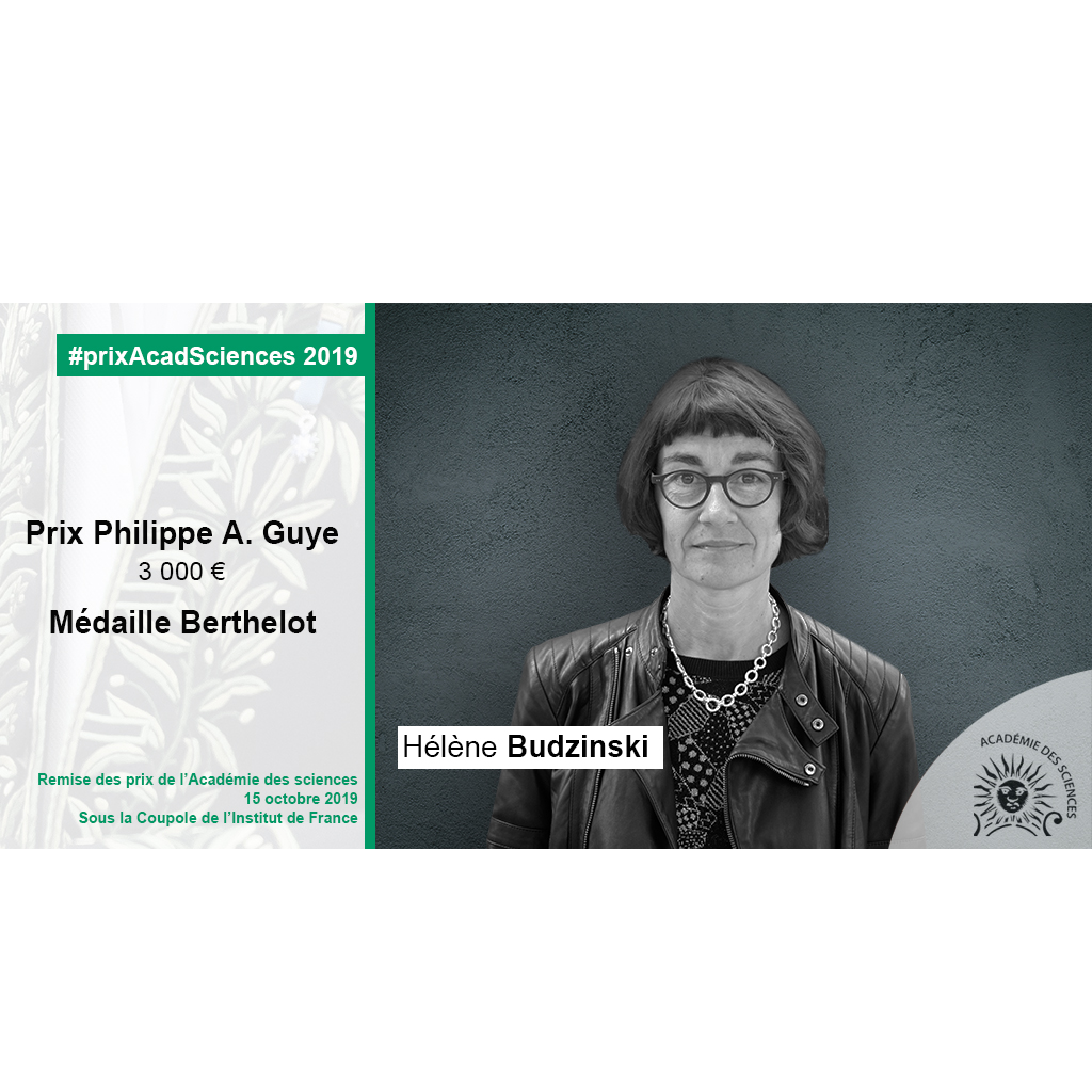 Prix Philippe A. Guye - Médaille Berthelot Académie des Sciences - 2019