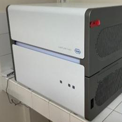 Light Cycler Roche 480