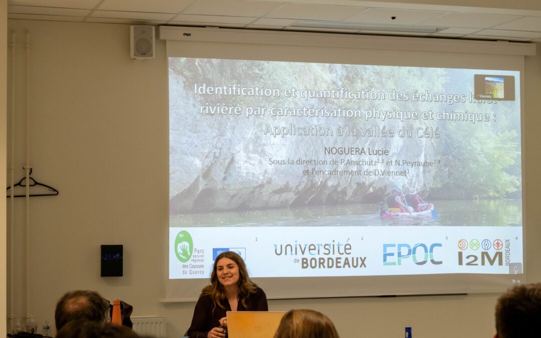 Identification and quantification of karst-river exchanges through physical and chemical characterisation: application to the Célé valley